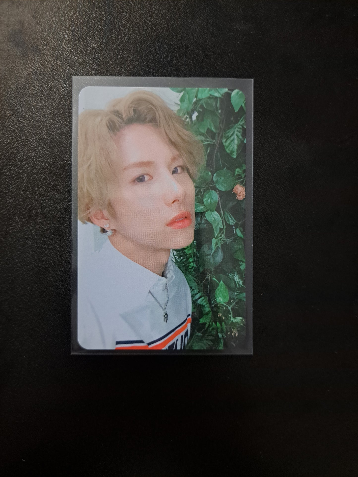 A.C.E Adventures In Wonderland Photocard Wow