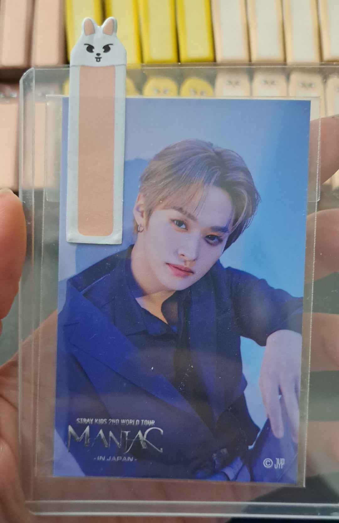 Stray Kids SKZOO Trading Index Tabs