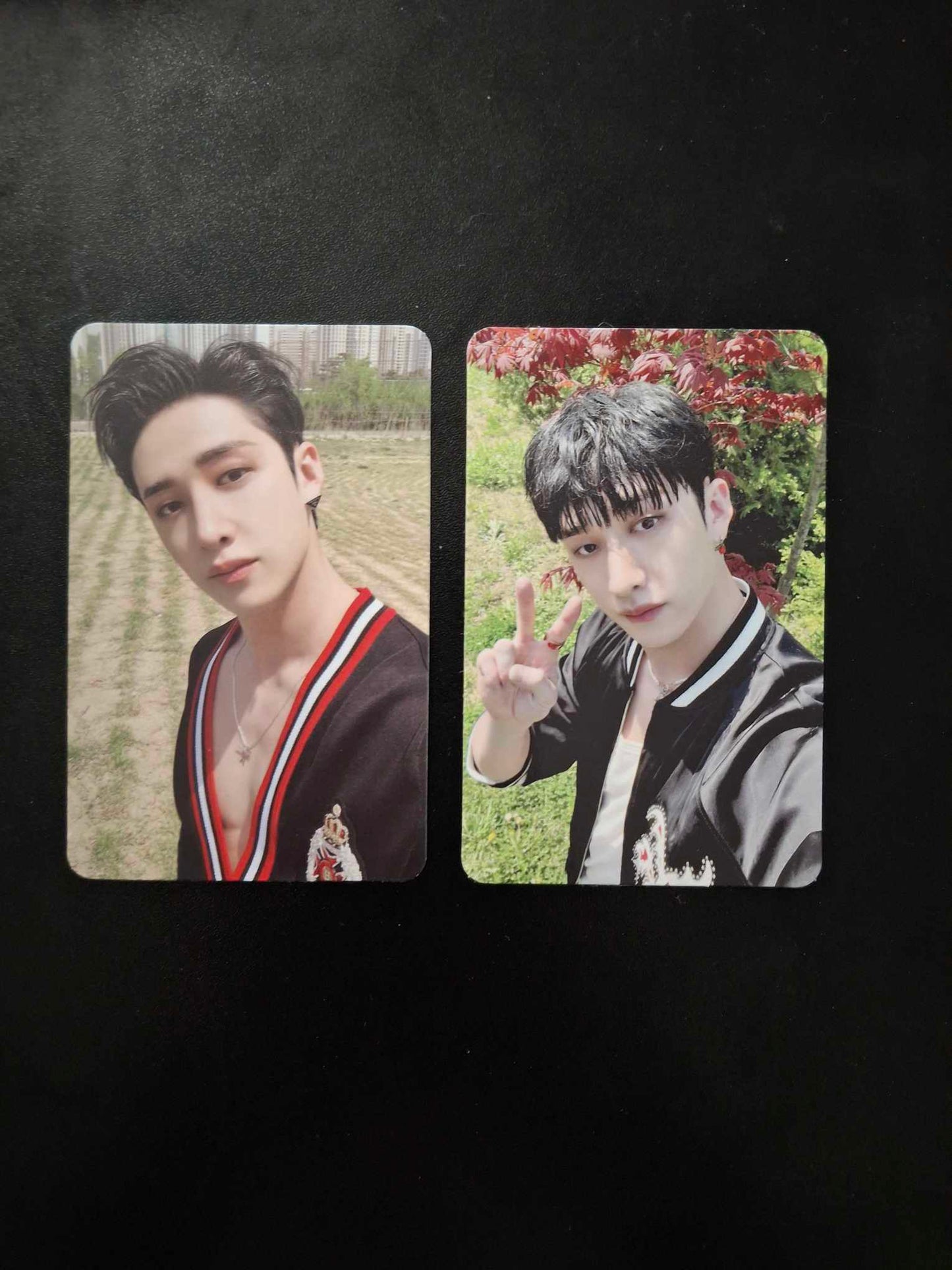 Stray Kids Maxident Chan Photocards