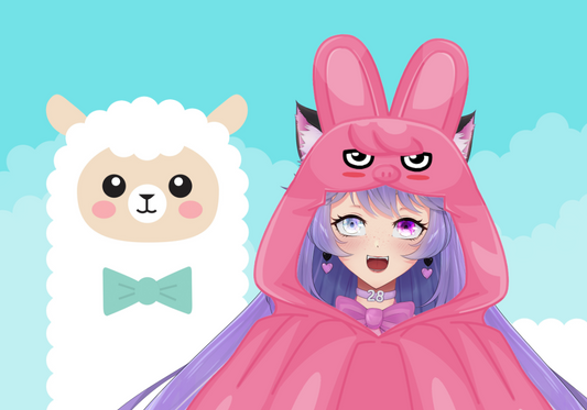 Stray Kids SKZOO Blanket Vtuber Asset Dwaekki