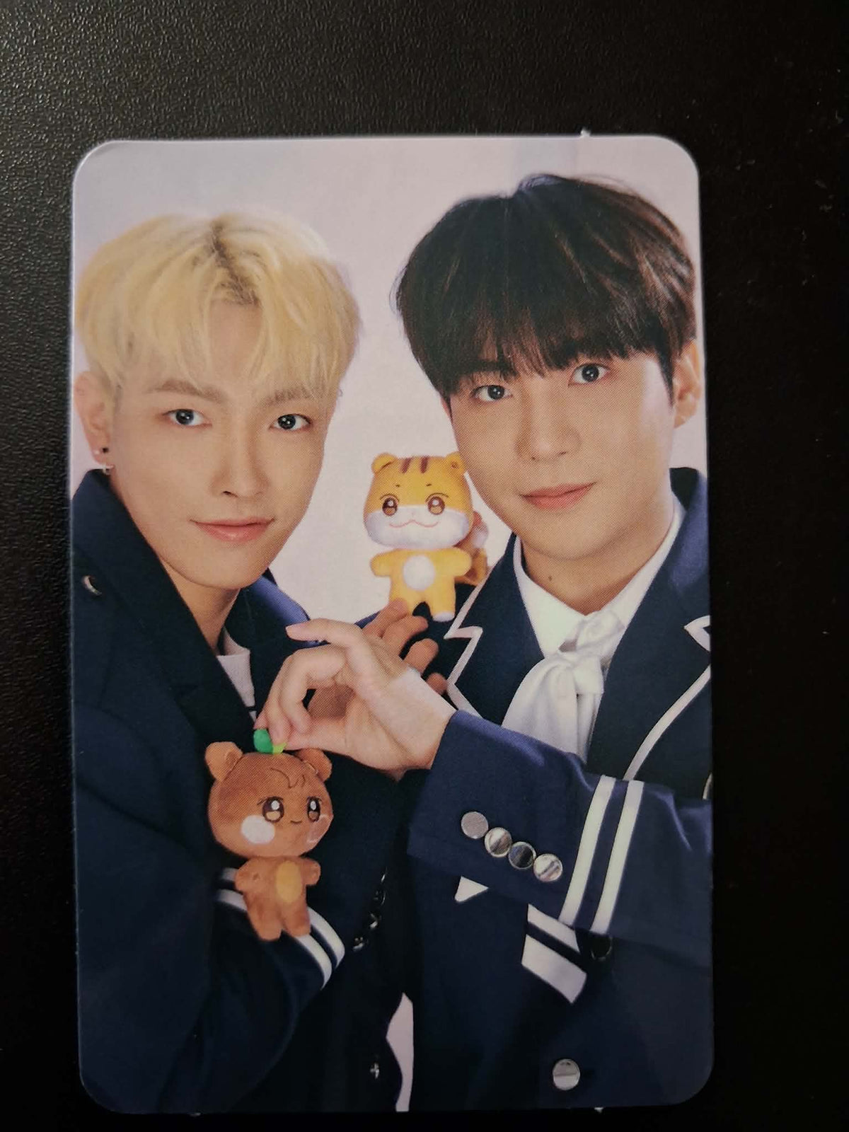 ATEEZ ANITEEZ in Illusion Unit Photocards