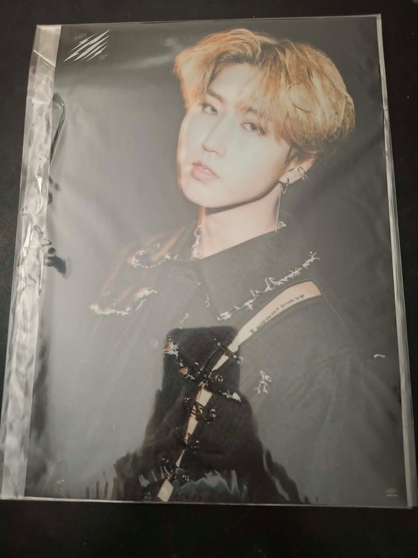 Stray Kids Scars Clear Mini Poster